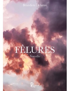 Fêlures de Bénédicte Delattre