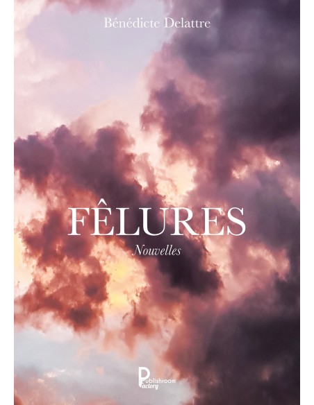 Fêlures de Bénédicte Delattre