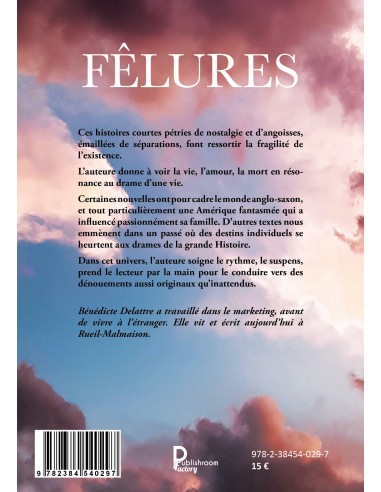 Fêlures de Bénédicte Delattre