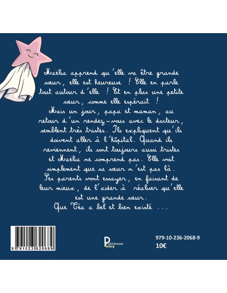 Petite sœur envolée de Marie Le Bihan