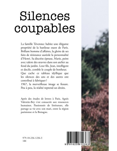 Silences coupables de Agnès Valentin-Bey