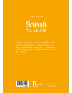 Les sursauts d'un soir d'été de Denis.L.Sousbie 2