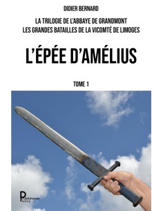 L'épée d'Amélius de Didier BERNARD