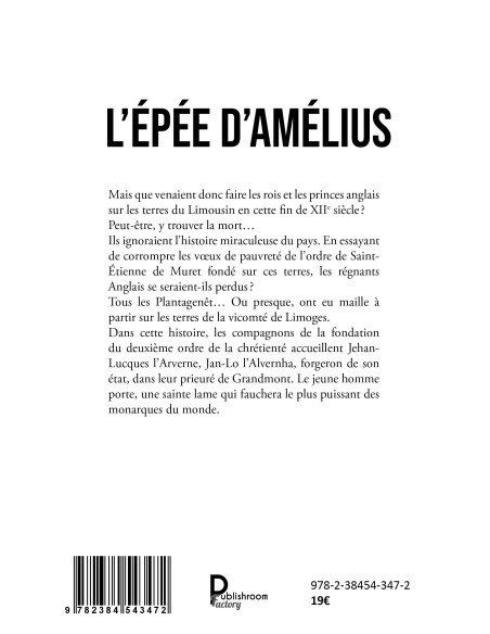 L'épée d'Amélius de Didier BERNARD