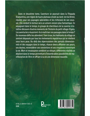 La caverne cristalline - Tome 2-LE DÉFI DU LABYRINTHE de CHRISTIANE COUVE DE MURVILLE