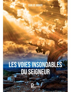 Les voies insondables du Seigneur de Carlos Mbaye
