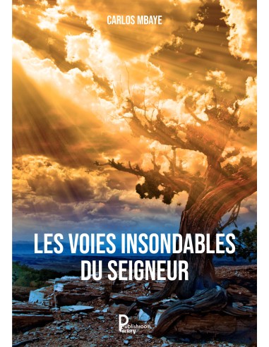 Les voies insondables du Seigneur de Carlos Mbaye