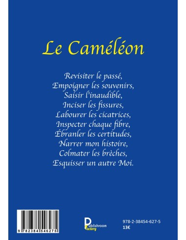 Le Caméléon de Gallard Armelle