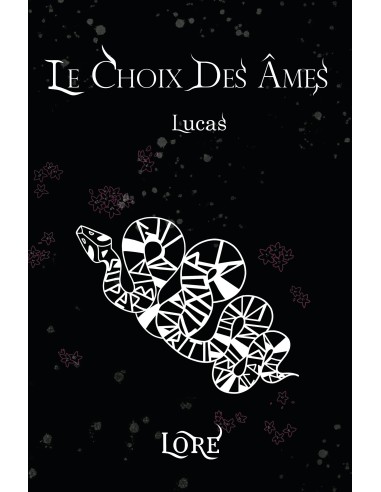 LE CHOIX DES ÂMES- Lucas- de LORE