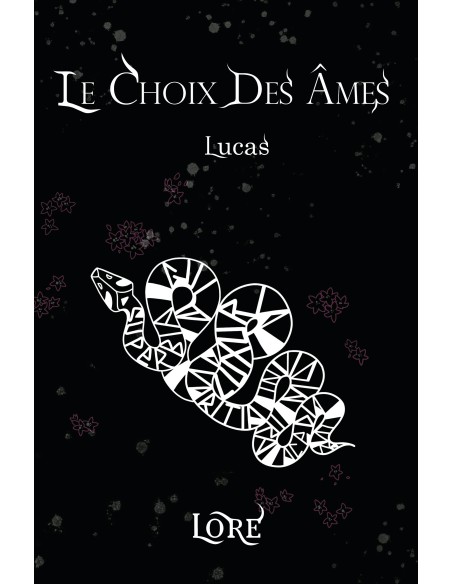 LE CHOIX DES ÂMES- Lucas- de LORE