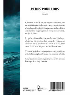 PEURS POUR TOUS Carnet 2 de Didier Bensa 2