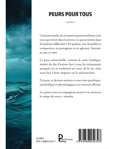 PEURS POUR TOUS Carnet 2 de Didier Bensa
