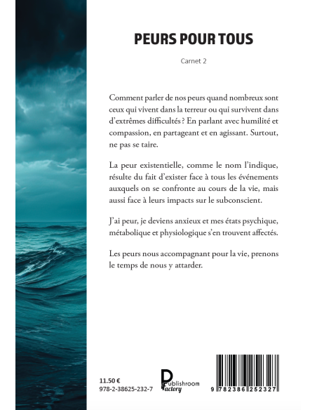 PEURS POUR TOUS Carnet 2 de Didier Bensa