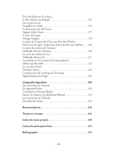 DIEUX, HÉROS , ROIS ET SAINTS.Mythes, sagas et littérature épique de l'Irlande ancienne. Livre 1 Aux origines de Léo Scaravella