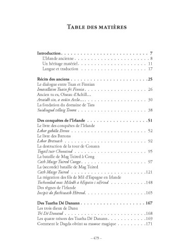 DIEUX, HÉROS , ROIS ET SAINTS.Mythes, sagas et littérature épique de l'Irlande ancienne. Livre 1 Aux origines de Léo Scaravella