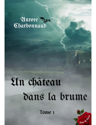 Un château dans la brume Tome 1 de Aurore CHARBONNAUD