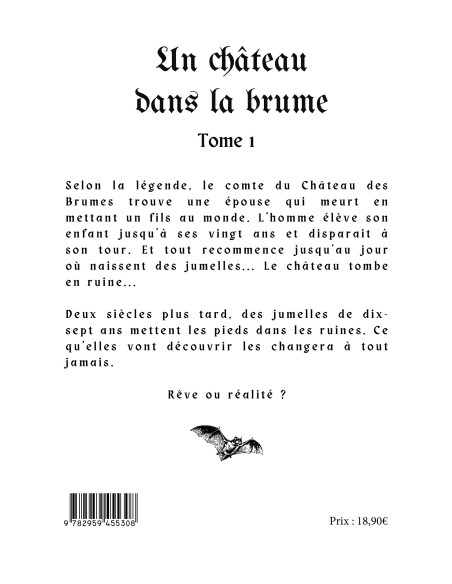 Un château dans la brume Tome 1 de Aurore CHARBONNAUD