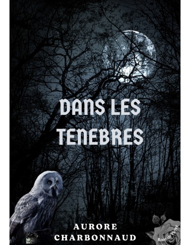 Dans les ténèbres de Aurore CHARBONNAUD