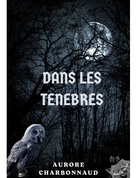 Dans les ténèbres de Aurore CHARBONNAUD