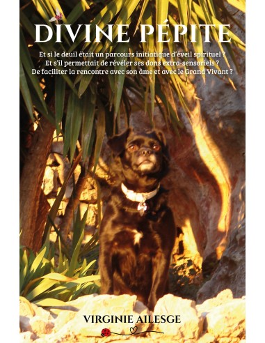 DIVINE PÉPITE de Virginie Aislesge