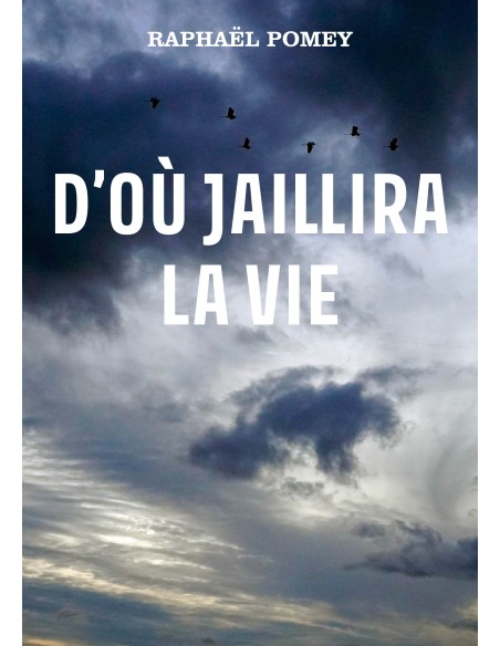 D’OÙ JAILLIRA LA VIE de Raphaël Pomey