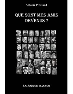 Que sont mes amis devenus ? Les écrivains et la mort de Antoine Pitteloud