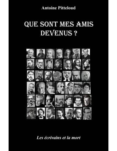 Que sont mes amis devenus ? Les écrivains et la mort de Antoine Pitteloud