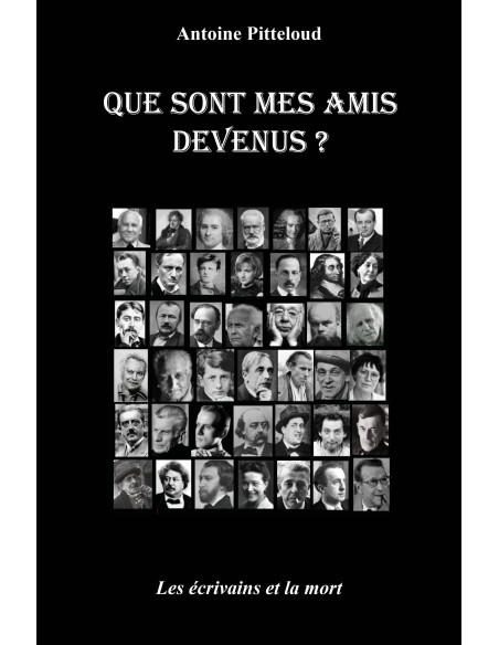 Que sont mes amis devenus ? Les écrivains et la mort de Antoine Pitteloud