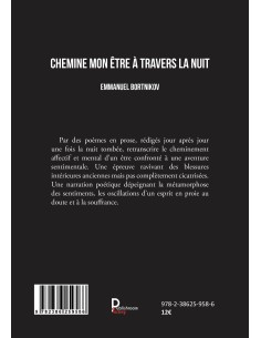 CHEMINE MON ETRE À TRAVERS LA NUIT 2