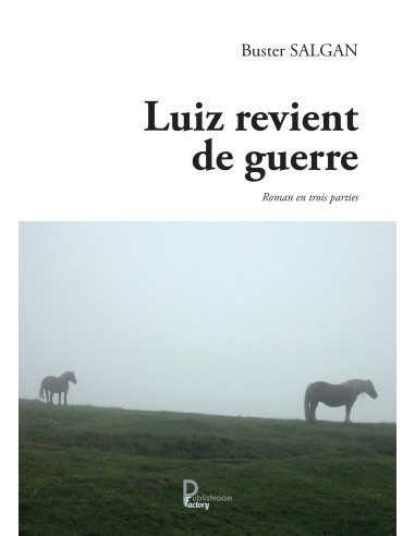 Luiz revient de guerre - Roman en trois parties