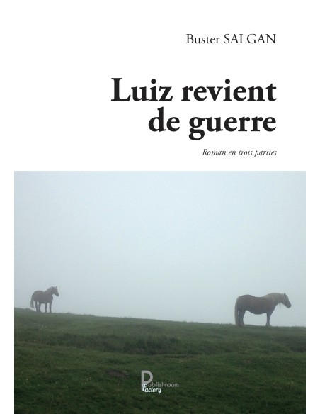 Luiz revient de guerre - Roman en trois parties