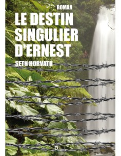 Le destin singulier d'Ernest de Seth HORVAT