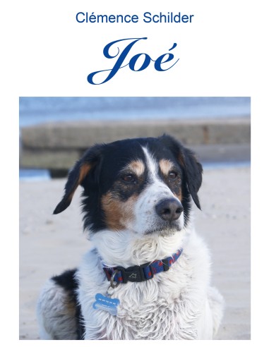 Joé de Clémence Schilder
