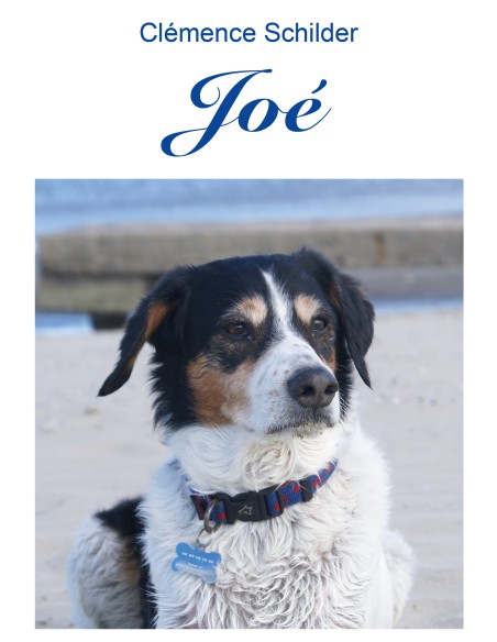 Joé de Clémence Schilder