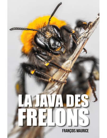 La java des frelons de François Maurice