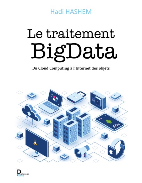 Le traitement Big Data de Hadi HASHEM