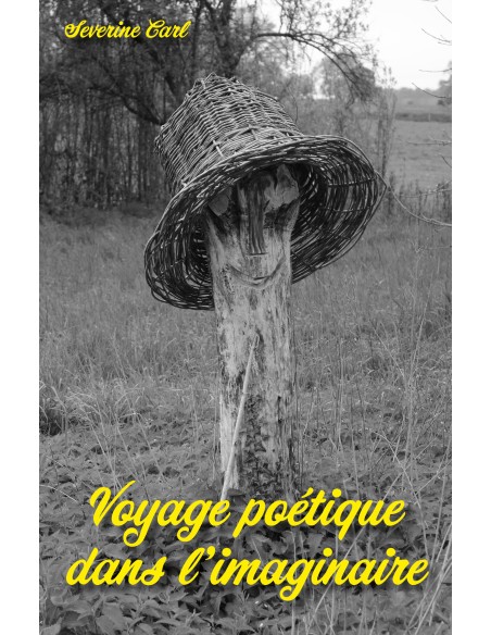 Voyage poétique dans l'imaginaire de Severine CARL
